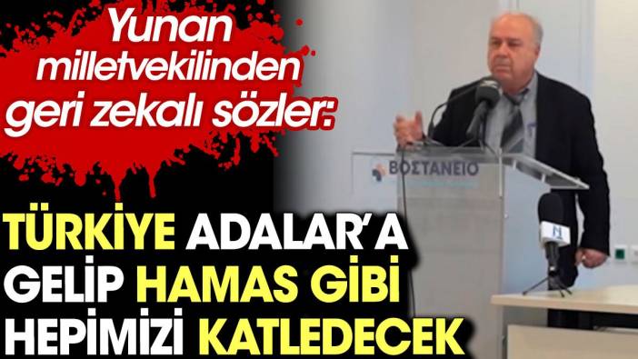 Yunan milletvekilinden geri zekalı sözler. 'Türkiye Adalar’a gelip Hamas gibi hepimizi katledecek'