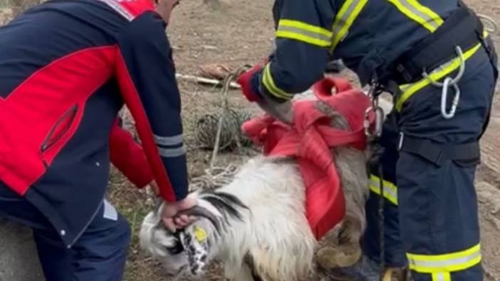 Erbaa’da kuyuya düşen keçiyi itfaiye kurtardı