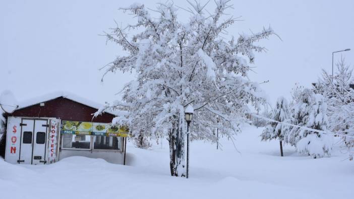 Bitlis'te kar nedeniyle 266 köy yolu kapandı
