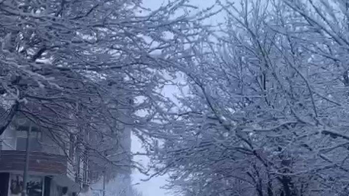 Ağrı'da kar esareti: Birçok köy yolu ulaşıma kapandı