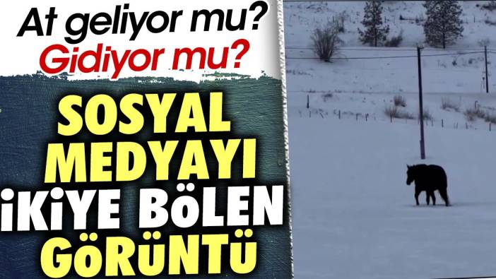 At geliyor mu ? Gidiyor mu ? Sosyal medyayı ikiye bölen görüntü