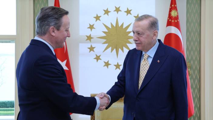 Cumhurbaşkanı Erdoğan, Cameron'u kabul etti