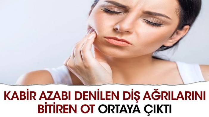 Kabir azabı denilen diş ağrılarını bitiren ot ortaya çıktı