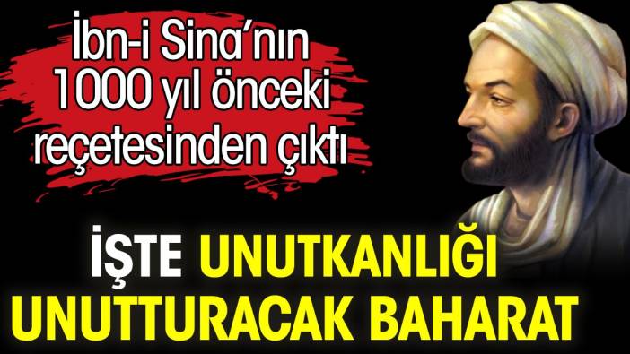 İşte unutkanlığı unutturacak baharat. İbn-i Sina’nın 1000 yıl önceki reçetesinden çıktı