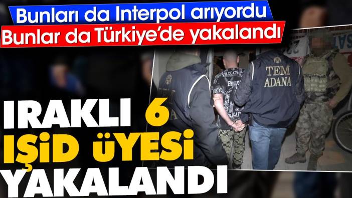 Iraklı 6 IŞİD üyesi yakalandı. Bunları da Interpol arıyordu, bunlar da Türkiye'de