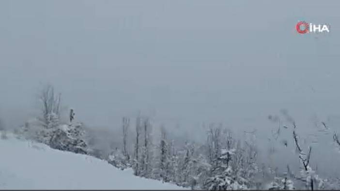 Kastamonu'da etkili olan kar yağışı şehri etkisi altına aldı. 177 köy yolu kapandı