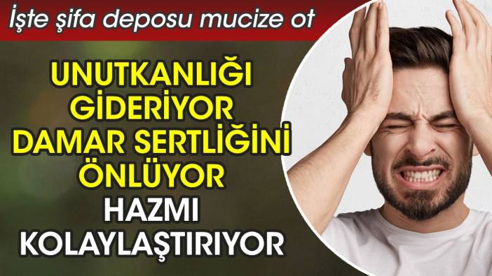 Unutkanlığı gideriyor. Damar sertliğini önlüyor. Hazmı kolaylaştırıyor. İşte şifa deposu mucize ot