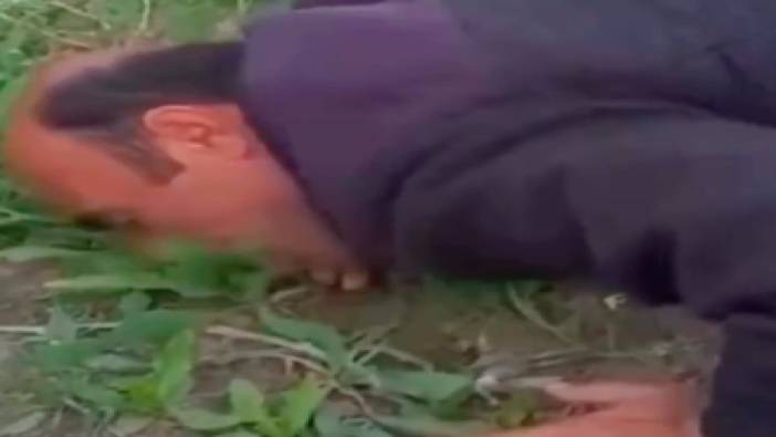Sosyal medyada gündem olan ilginç görüntü: Yerdeki otları otlayan adam