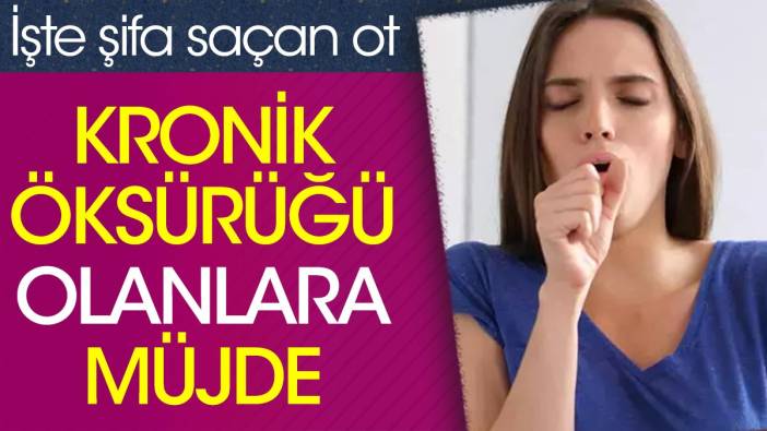 Kronik öksürüğü olanlara müjde. İşte şifa saçan ot