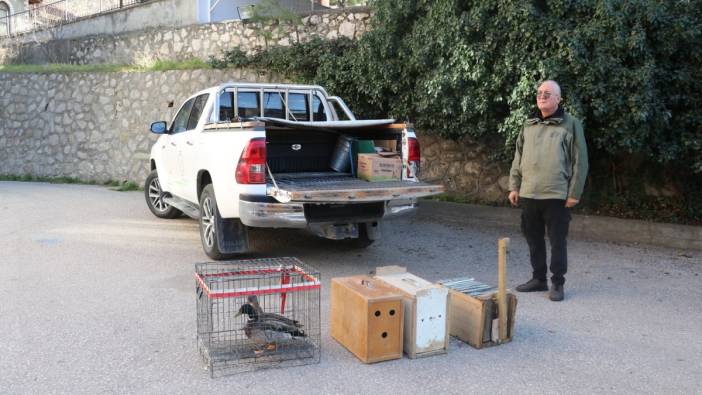 Yabani kuşları yakalayıp internet üzerinden satıyordu, polise yakalandı