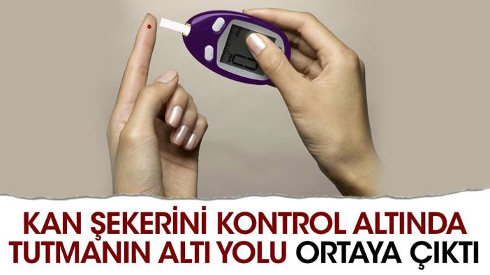 Kan şekerini kontrol altında tutmanın altı yolu ortaya çıktı