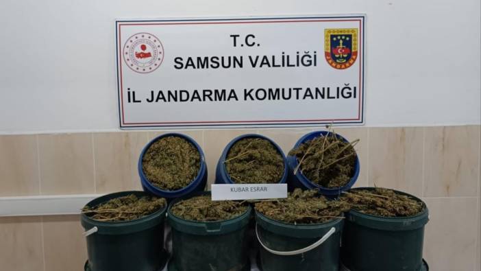 Samsun'da uyuşturucu operasyonu: 17 kilo 700 gram ele geçirildi