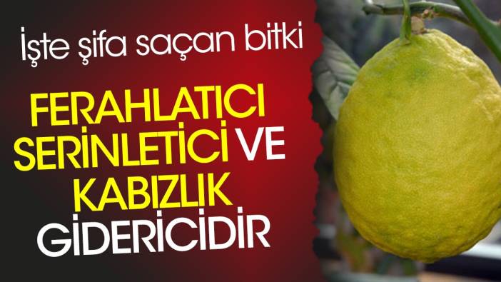 Ferahlatıcı serinletici ve kabızlık gidericidir. İşte şifa saçan bitki