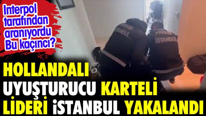Hollandalı uyuşturucu karteli lideri İstanbul'da yakalandı. İnterpol arıyordu bu kaçıncı?