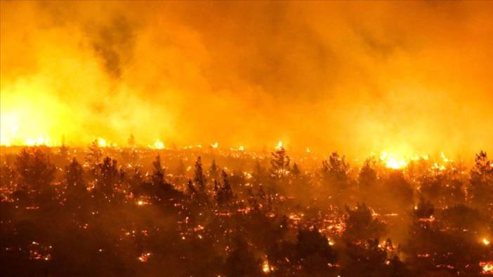 Şili'de çıkan orman yangınlarında hayatını kaybedenlerin sayısı 51'e yükseldi