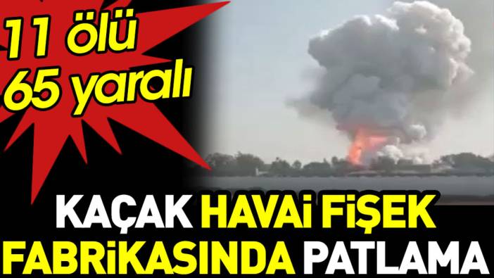 Hindistan'da kaçak havai fişek fabrikasında patlama: 11 ölü, 65 yaralı