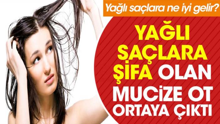 Yağlı saçlara şifa olan mucize ot ortaya çıktı. Yağlı saçlara ne iyi gelir?