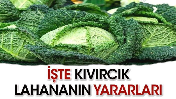 Kıvırcık lahananın yararları bilseniz her gün yersiniz