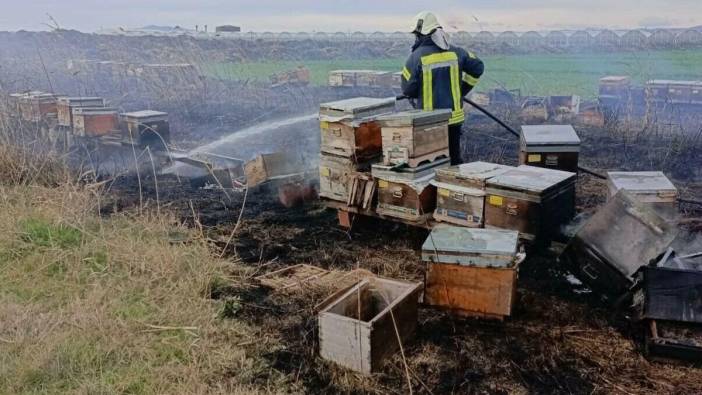 Ot yangınında alevler kovanlara sıçradı. Binlerce arı öldü