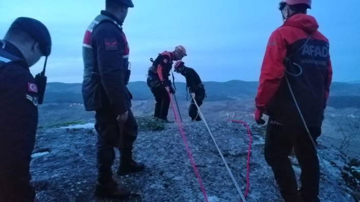 Karabük’te kayalıkta mahsur kalan köpek kurtarıldı