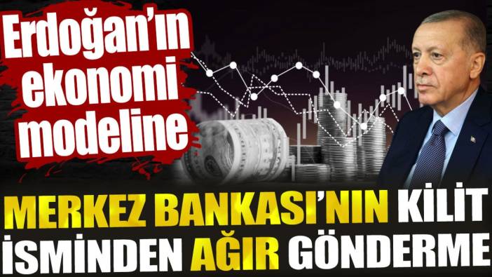 Erdoğan’ın ekonomi modeline Merkez Bankası'nın kilit isminden ağır gönderme