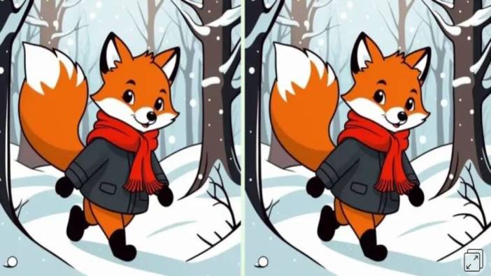 Kışlık kıyafetleri ile dolaşan iki tilki arasındaki 3 farkı bulun. Sadece yüksek IQ’lu kişiler 11 saniyede görebiliyor