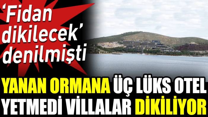 Yanan ormana üç lüks otel yetmedi villalar dikiliyor. ‘Fidan dikilecek’ denilmişti