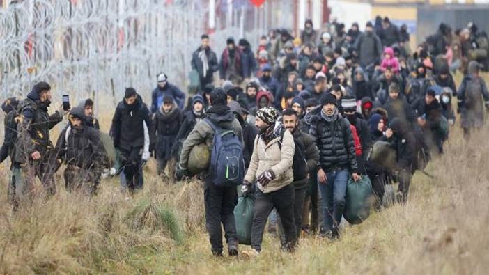 Polonya göçmenlere karşı Belarus sınırına duvar örüyor