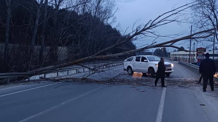 Bolu - Mudurnu yolunda devrilen ağaç sebebiyle yol trafiğe kapandı