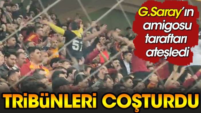 Galatasaray amigosu tribünleri ateşledi