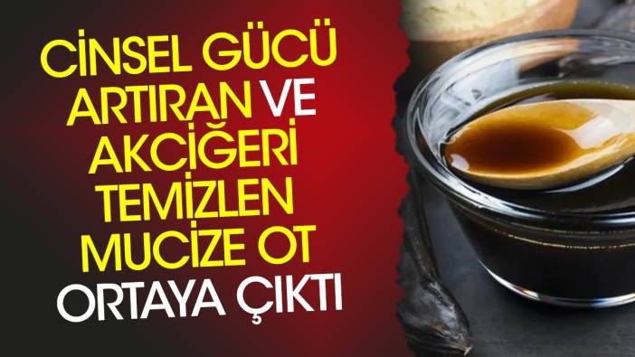 Cinsel gücü artıran ve akciğeri temizlen mucize ot ortaya çıktı