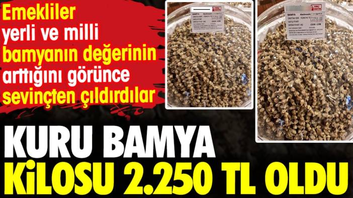 Kuru bamya kilosu 2.250 TL oldu. Emekliler yerli ve milli bamyanın değerinin arttığını görünce sevinçten çıldırdılar