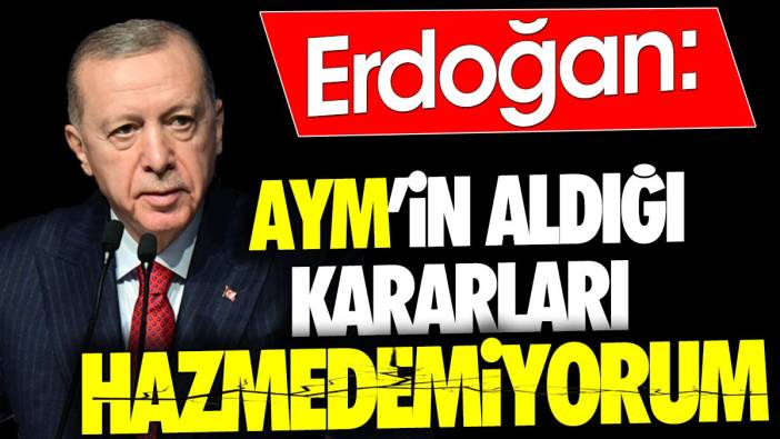 Erdoğan: AYM'nin aldığı kararlara hazmedemiyorum