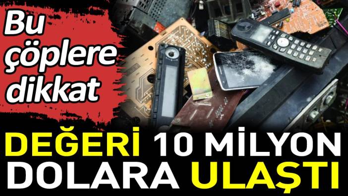 Değeri 10 milyon dolara ulaştı. Bu çöplere dikkat