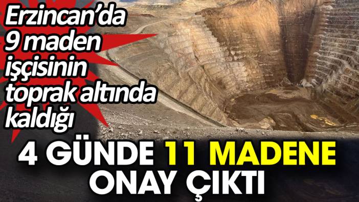 Erzincan’da 9 maden işçisinin toprak altında kaldığı 4 günde 11 madene onay çıktı