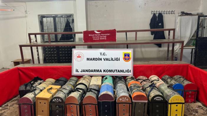 Mardin’de horoz dövüştüren 83 kişiye 578 bin TL ceza