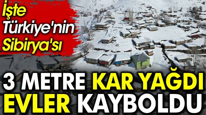 İşte Türkiye'nin Sibirya'sı. 3 metre kar yağdı evler kayboldu