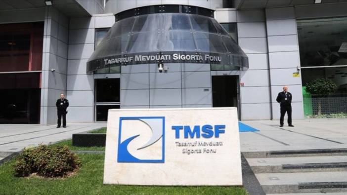 TMSF bir şirketi daha satıyor