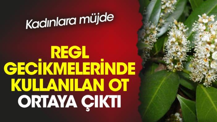 Kadınlara müjde. Regl (Aybaşı) gecikmelerinde kullanılan ot ortaya çıktı