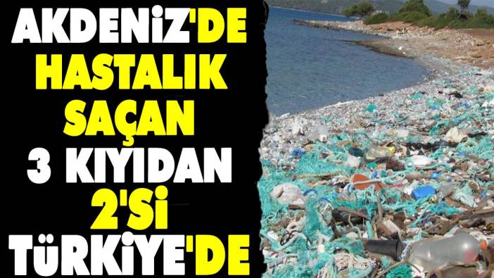 Akdeniz'de hastalık saçan 3 kıyıdan 2'si Türkiye'de