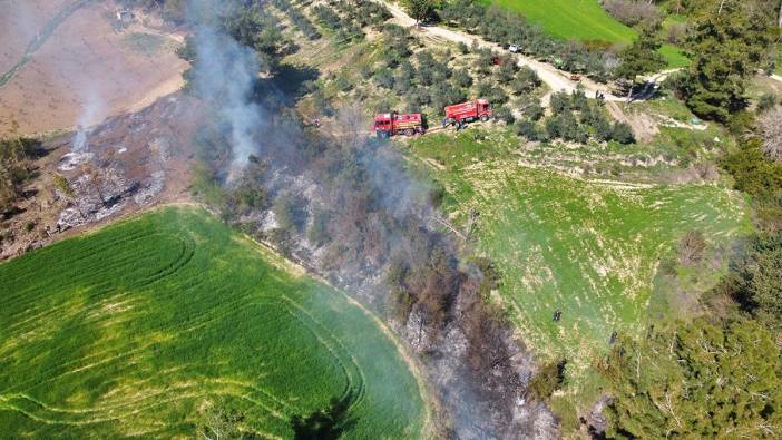 Osmaniye'de orman yangını! 5 dekarlık alan zarar gördü