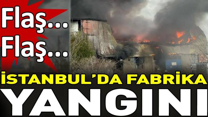 Son dakika... İstanbul'da fabrika yangını
