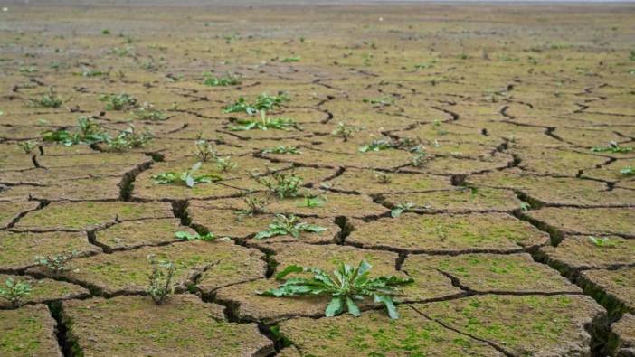 Zambiya'da kuraklıktan ötürü "ulusal afet" ilan edildi