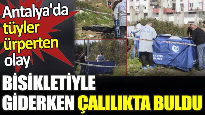 Bisikletiyle giderken çalılıkta buldu. Antalya'da tüyler ürperten olay