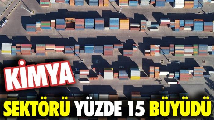 Kimya sektörü yüzde 15 büyüdü