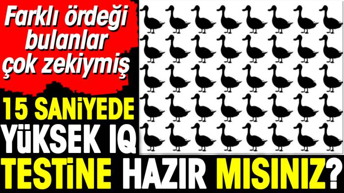 15 saniyede yüksek IQ testine hazır mısınız? Farklı ördeği bulanlar çok zekiymiş