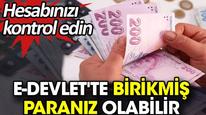 e-Devlet'te birikmiş paranız olabilir. Hesabınızı kontrol edin