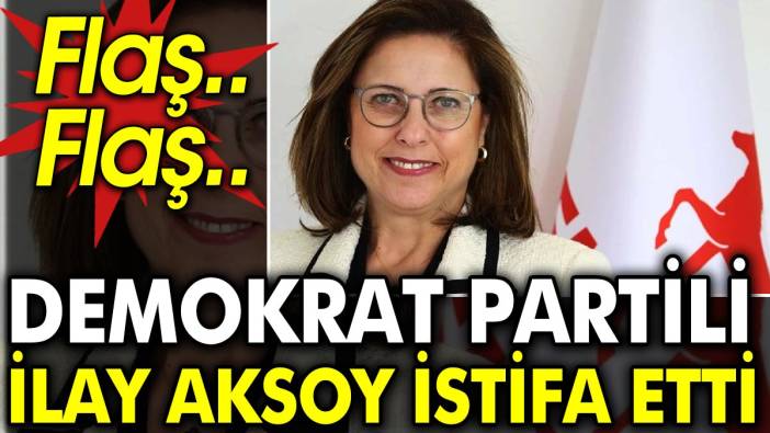Demokrat Partili İlay Aksoy istifa etti
