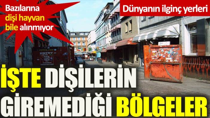 İşte dünya üzerinde dişilerin giremediği bölgeler...