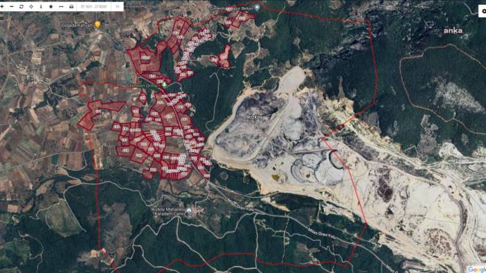 Akbelen Ormanı’nın çevresi maden için kamulaştırıldı. Erdoğan imzalı karar Resmi Gazete’de